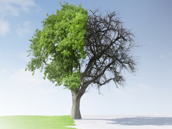 The Impact of Seasonal Changes on the Saskatchewan Housing Market