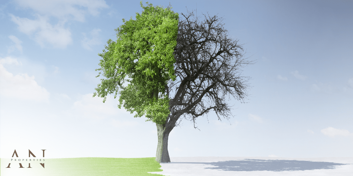 The Impact of Seasonal Changes on the Saskatchewan Housing Market